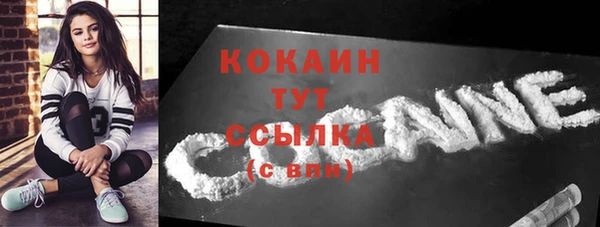 прущие грибы Горнозаводск