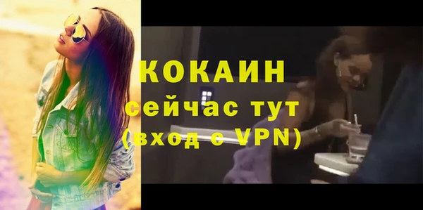 ALPHA PVP Богородицк