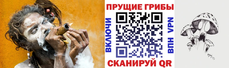 shop как зайти  Иркутск  Галлюциногенные грибы GOLDEN TEACHER 